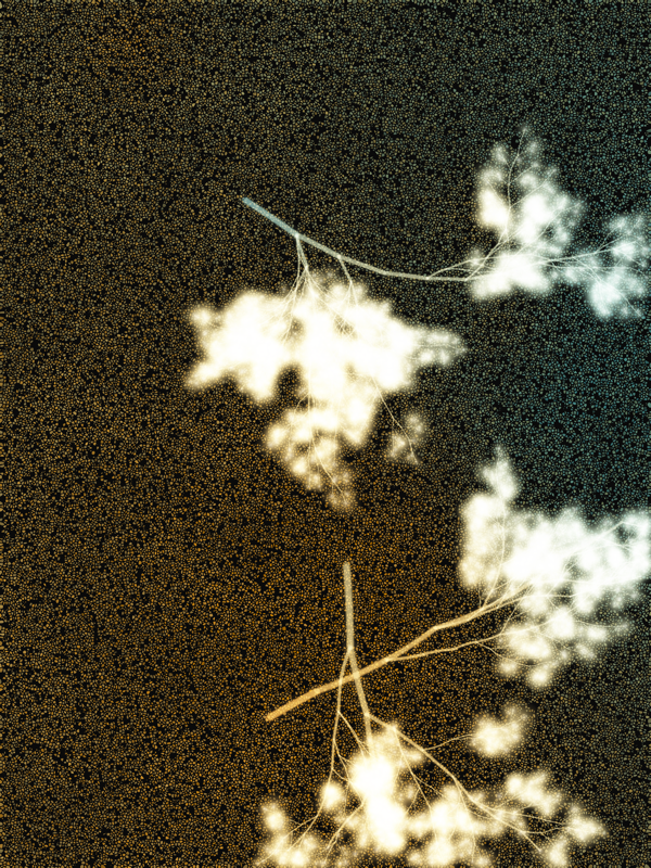 What Algorithms Want